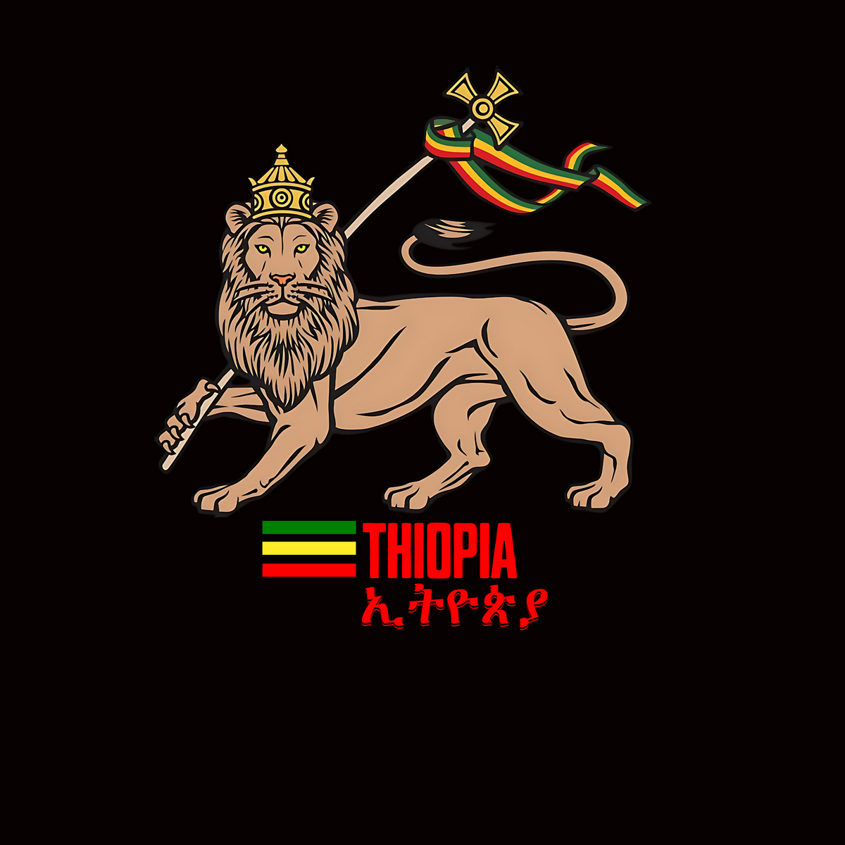 Ethiopian Lion of Judah Fridge Magnet – African Decor Souvenir